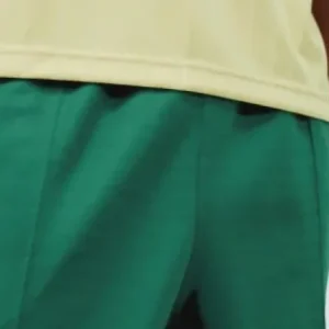 adidas Adicolor Baggy Fit Firebird Track Pants