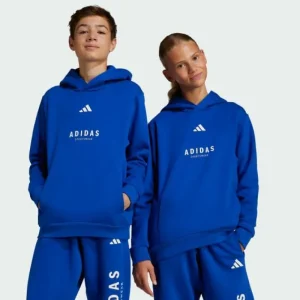 Kids/BOY adidas ALL SZN Graphic Hoodie Kids