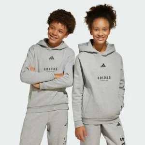 Kids/BOY adidas ALL SZN Graphic Hoodie Kids