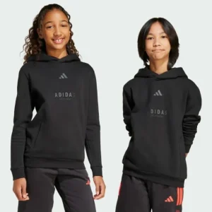 Kids/BOY adidas ALL SZN Graphic Hoodie Kids