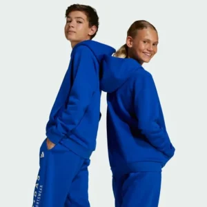 Kids/BOY adidas ALL SZN Graphic Hoodie Kids