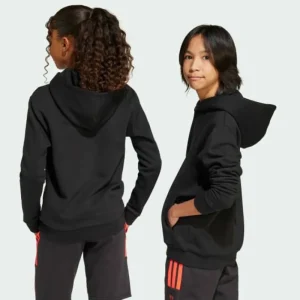 Kids/BOY adidas ALL SZN Graphic Hoodie Kids