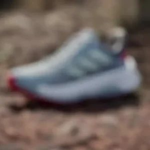 adidas Terrex Soulstride Ultra Trail Running Shoes